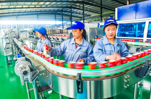 贵州大方县:龙头企业带动农业产业